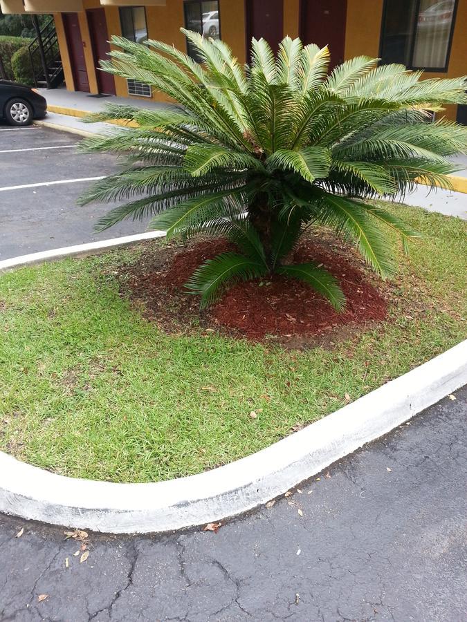 Howard Johnson By Wyndham Tallahassee Dış mekan fotoğraf